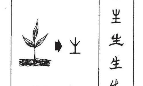酚美愈伪麻分散多少钱-酚美愈伪麻分散片主治网美酚伪麻片6片价格表知识网站,分享酚伪麻美芬胶囊大全
